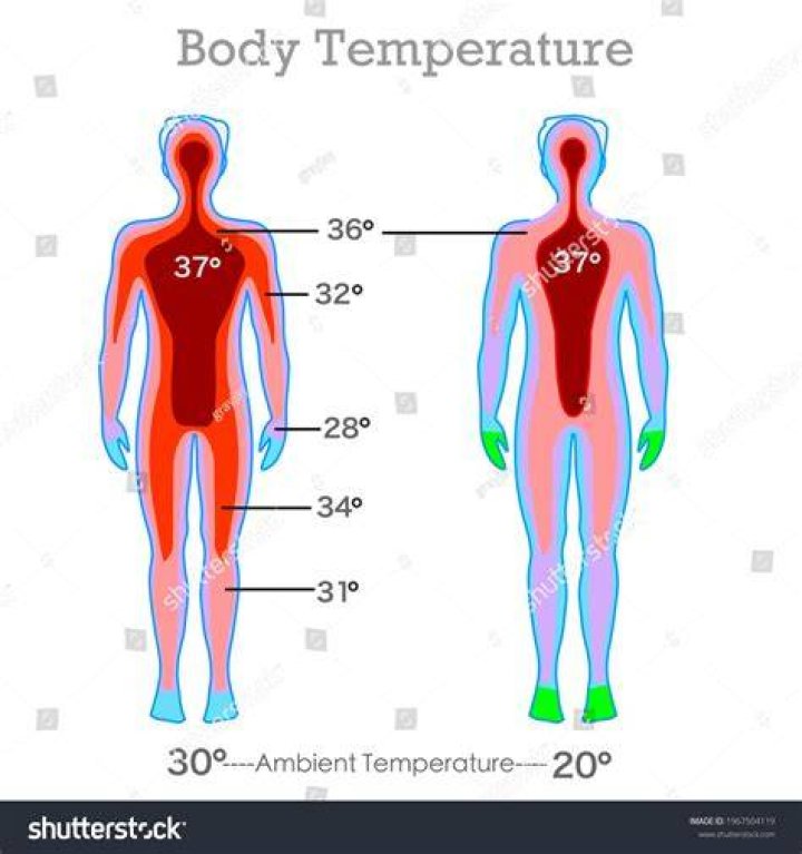 What causes sudden body temperature changes?